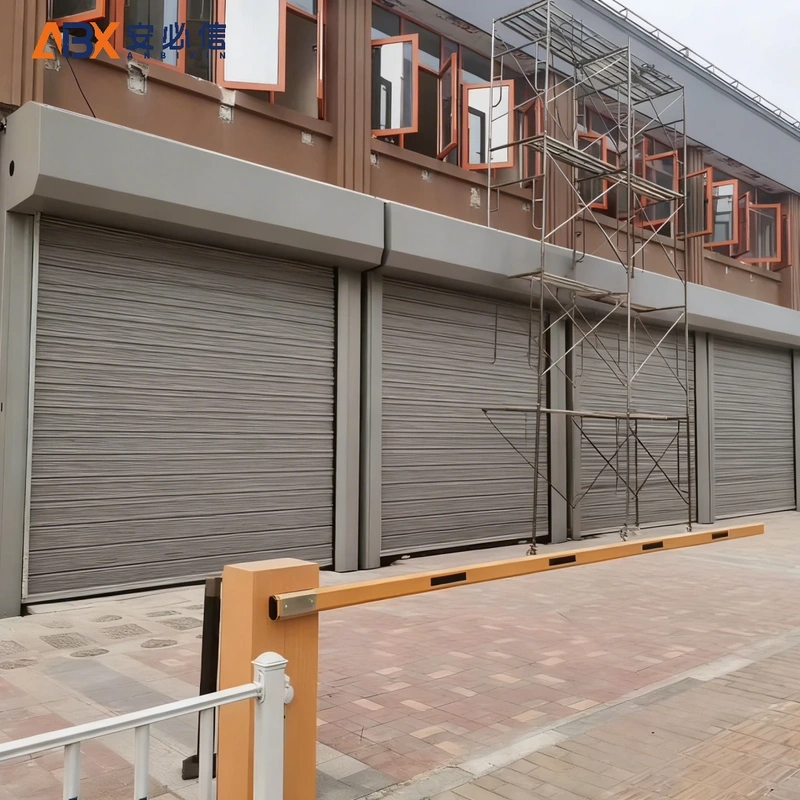 定西市软帘高速门